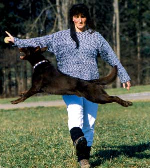 61dogdance01